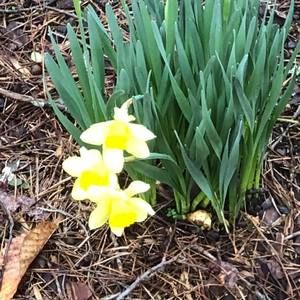 Meet your Posher, Candis